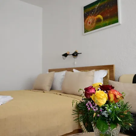 Apartment Nur Ivisovo Greblje